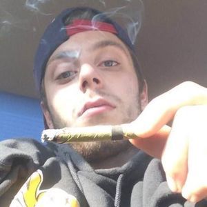 Meet your Posher, Joey